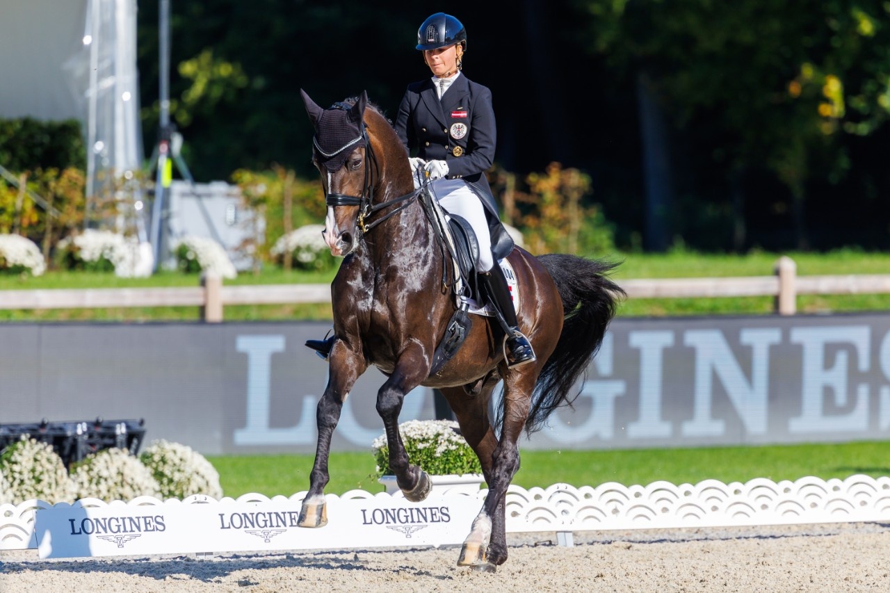 Paris wir kommen! Österreichs DressurTeam löst Olympiaticket, Briten